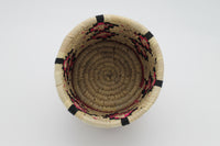 Sabai Grass Planter